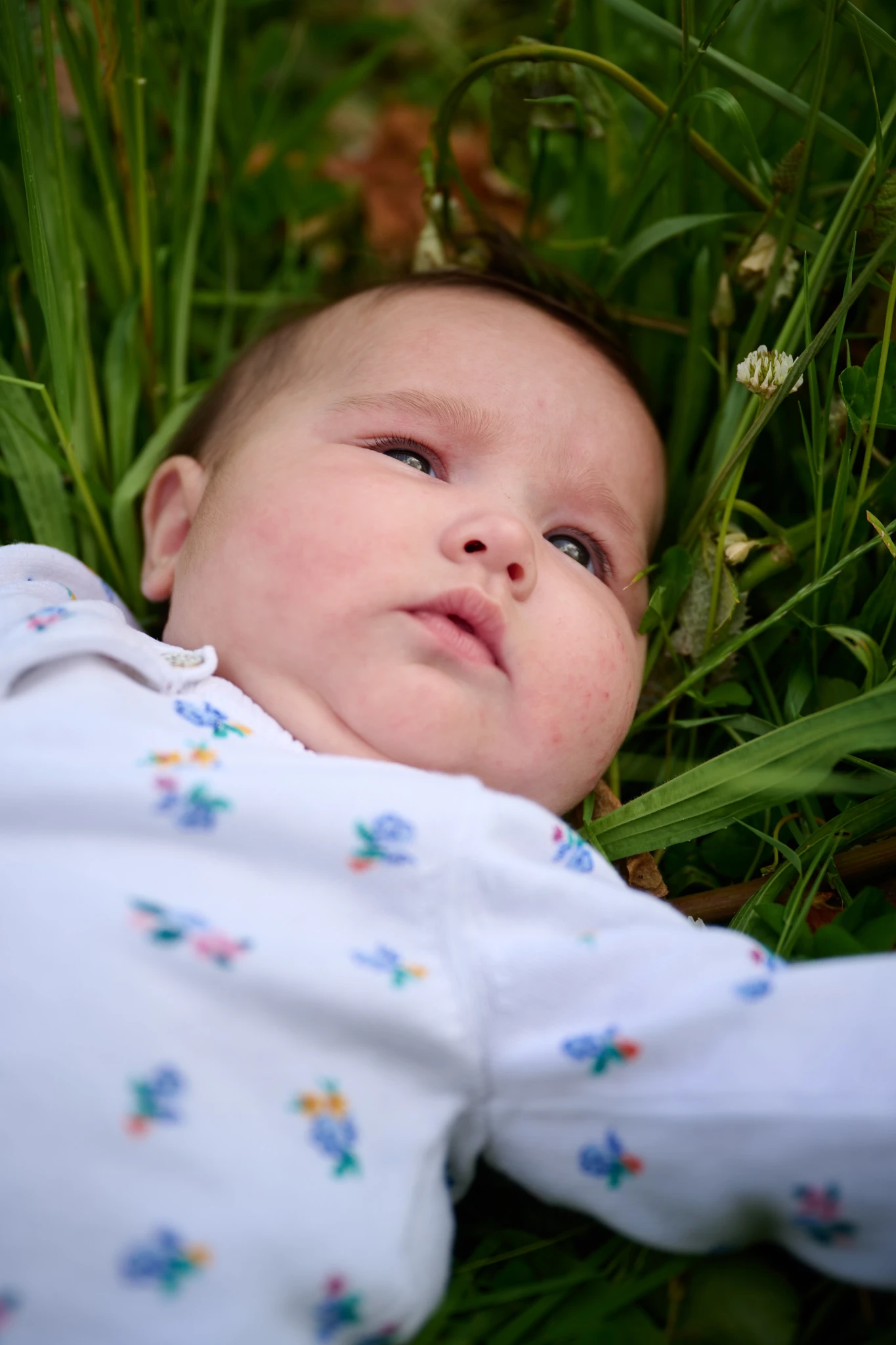photographe-bebe-exterieur-portrait-nature-herbe-lot
