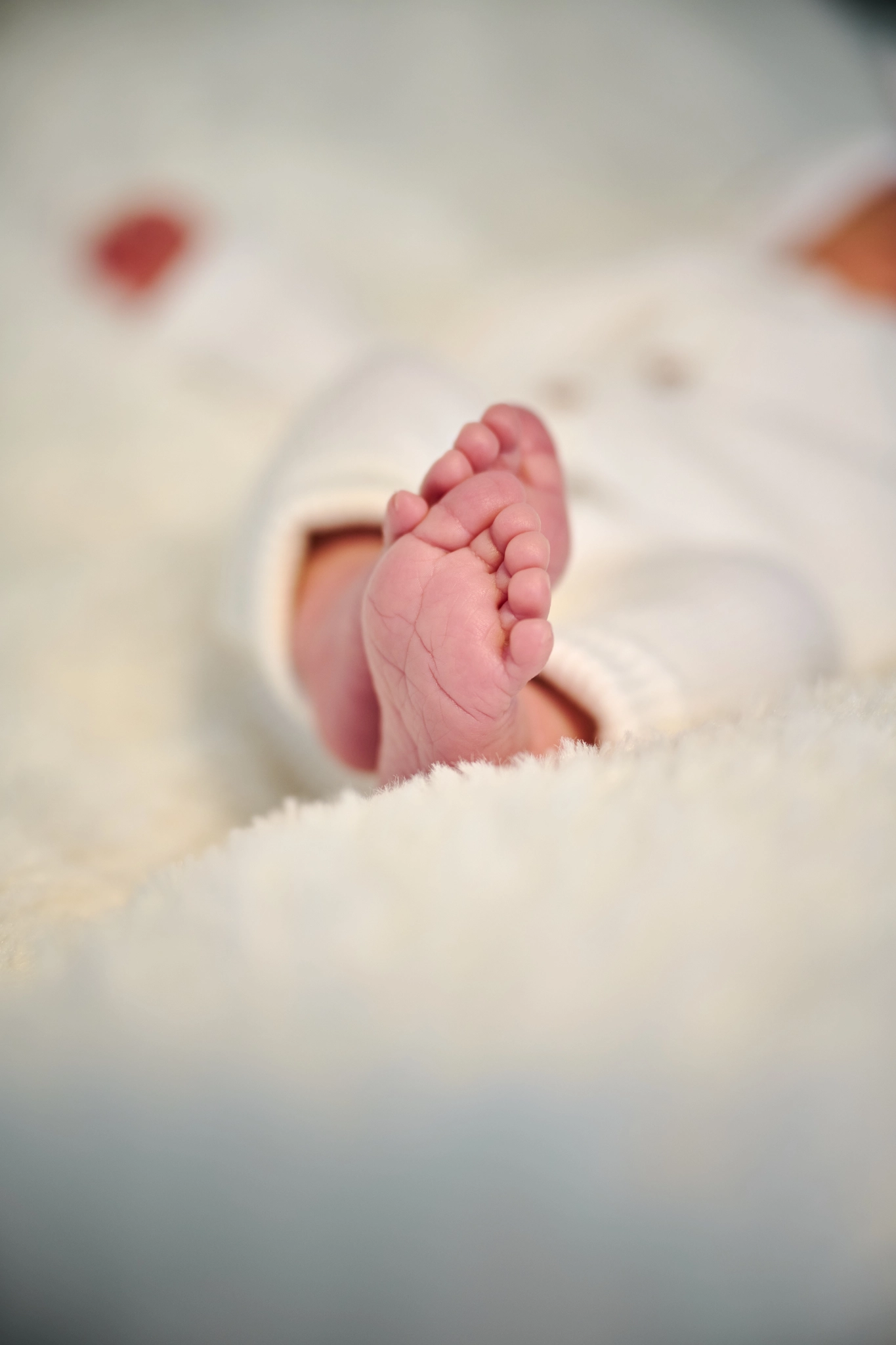 Détails & Macrophotographie Naissance – Photographe Lot